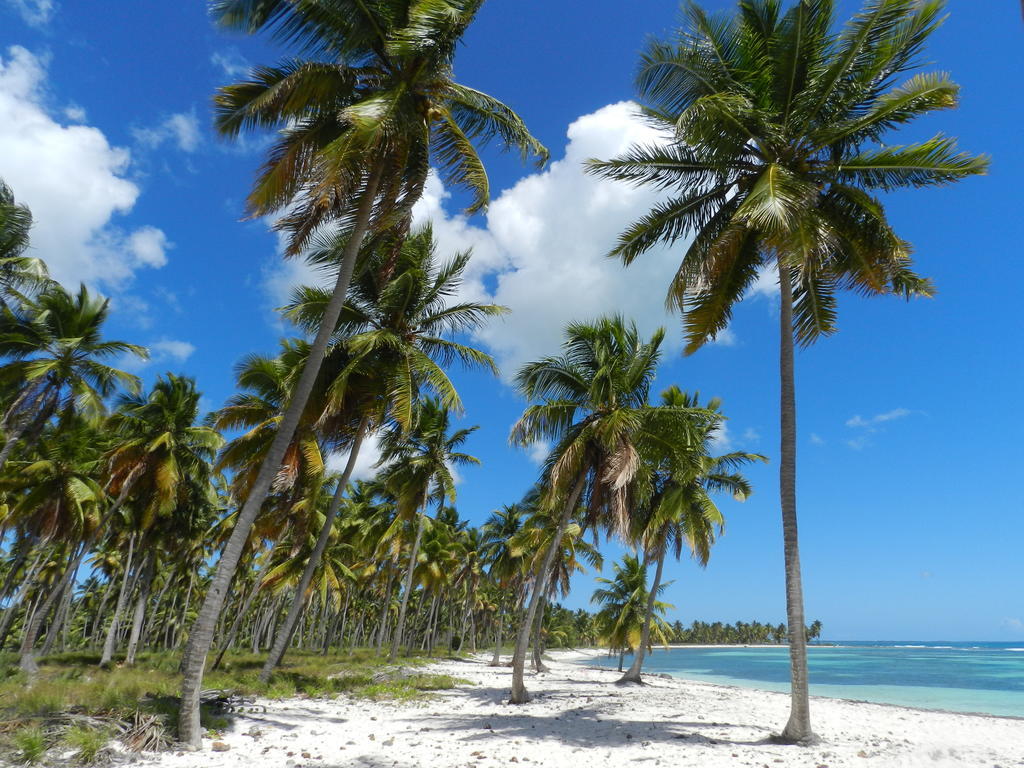 Vanilla House Bayahibe Zewnętrze zdjęcie